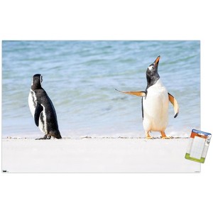 Trends International The Comedy Wildlife Photography Awards: Jennifer Hadley - Talk To The Fin Unframed Wall Poster Prints - 1 of 4