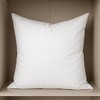 HomeRoots 20" White Cotton Down Blend Throw Pillow Insert - 2 of 4