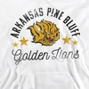 University of Arkansas at Pine Bluff Official Golden Lions Adult Pull-Over Hoodie - 2 of 4