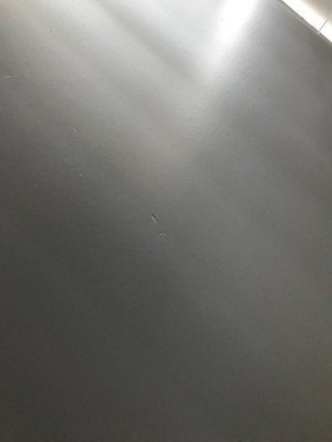 Guest review image 3 of 3, zoom in