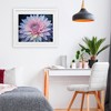 Stupell Industries Dew Kissed Pink Chrysanthemum Framed Print Under Glass - 3 of 4