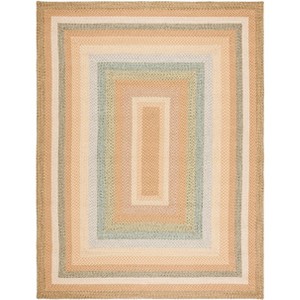 Braided BRD314  Machine Washable UV Resistant Stain Resistant Non-Shedding Hand Woven Indoor/Outdoor Rugs - Safavieh - 1 of 4