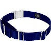 Country Brook Petz Heavyduty Nylon Martingale with Premium Buckle - 2 of 4
