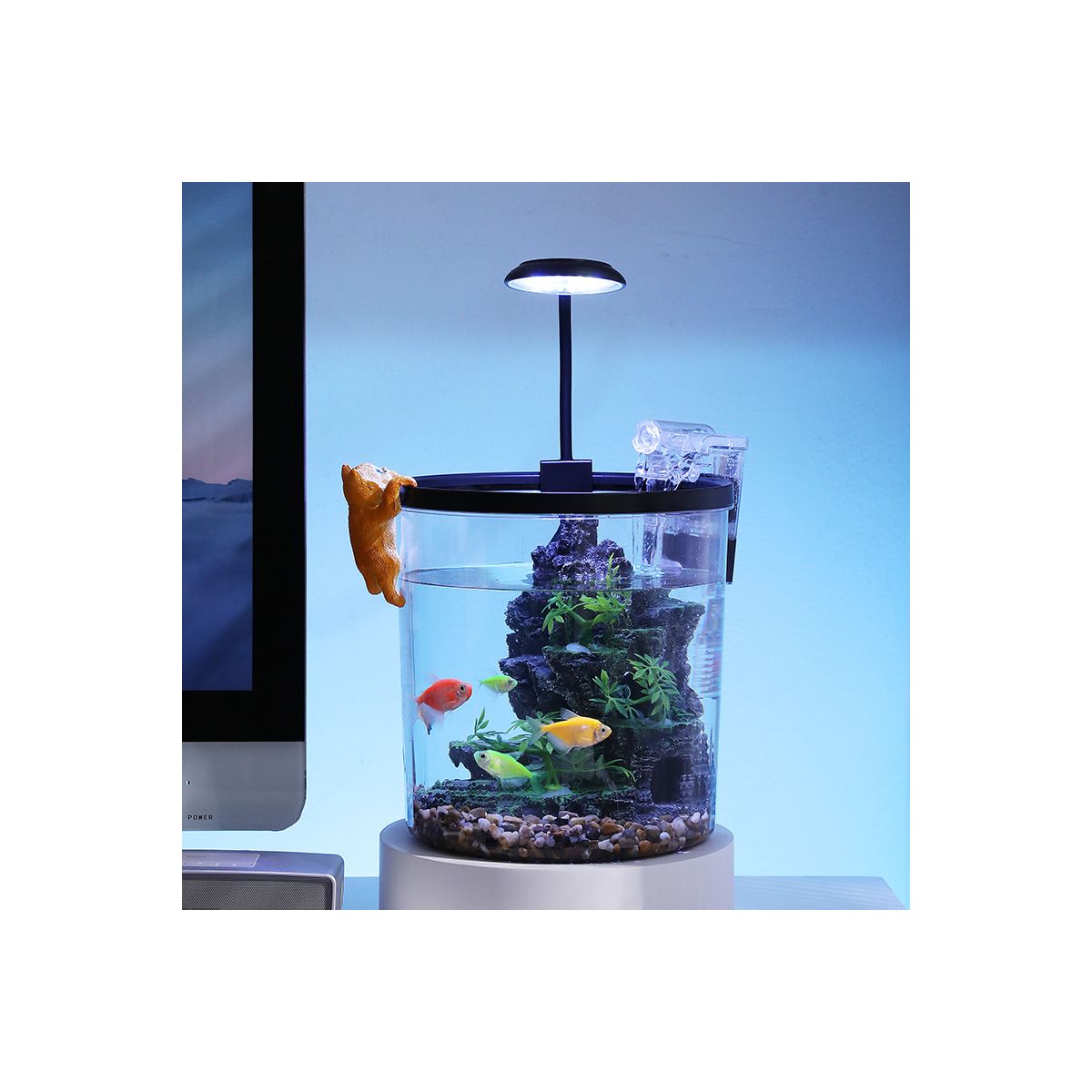 Garvee 1.5 Gallon Small Fish Tank, Betta Fish Tank kit with LED Light, Oxygen Generator, Fish Tank Starter Kits for Beta,Goldfish - thumbnail 6