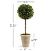 Plum & Post Boxwood Single Faux (Fake) Sphere Topiary 23.25" - 3 of 3