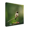 Trademark Fine Art -Jai Johnson 'Hummingbird In The Garden' Canvas Art - 4 of 4