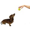 Midlee 2" Yellow/Orange Small Dog Tennis Balls (12-Pack) - 4 of 4