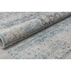 Rugs America Cora Transitional Vintage Area Rug - 4 of 4