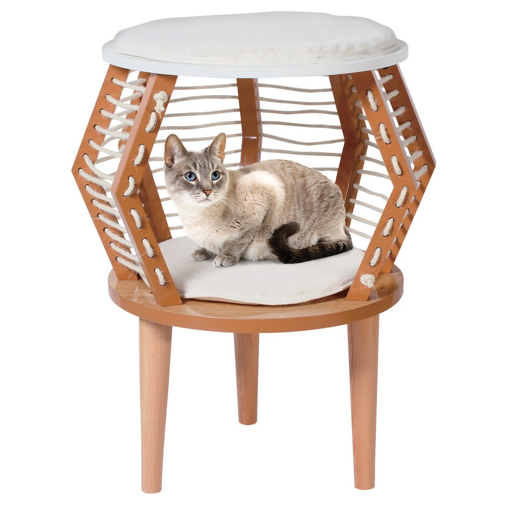 Pets table. Прозрачный дом для кота. Кошка на столе.