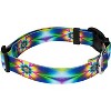 Country Brook Petz Deluxe Dog Collar - Groovy Collection - 4 of 4