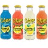 Calypso Island Wave Lemonade - 16 fl oz Bottle - 3 of 3