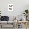 Stupell Industries Butterfly Wings Insect Portrait Wall Plaque Art - 2 of 4