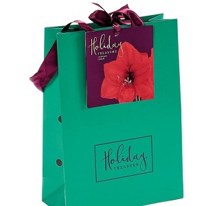 Van Zyverden Amaryllis Red Flower Bulb with Emerald Gift Bag - 1 of 3