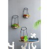 Metal Frames Set of 3 Geometric Wall Planters, Modern Hanging Wall Decor for Indoor Greenery - 2 of 4