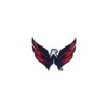 NHL Washington Capitals 16oz Primary Logo Classic Tumbler - 2 of 4