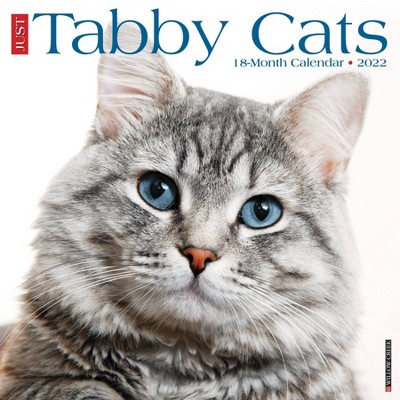 2022 Wall Calendar Just Tabby Cats - Willow Creek Press