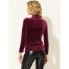 Allegra K Women's Solid Turtleneck Velvet Long Sleeve Work Basic Velour Blouse - 4 of 4
