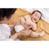 Charlie Banana One Size Reusable Cloth Diaper - 5ct - 4 of 4