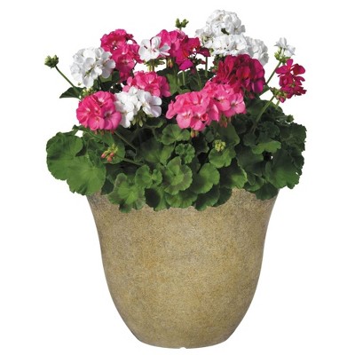 Fossil Stone 13" Round Resin Indoor/Outdoor Planter