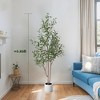 Tree City 5.2ft Faux Olive Tree - 2 Stems Artificial Olive Plant with 560 Leaves, Black Sand in White Pot for Home Decor - 3 of 4