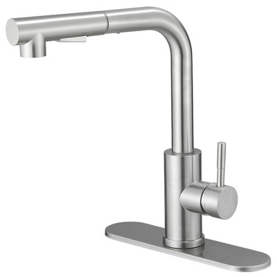 2 Sprayer Single Hole Single-Handle Pull Out Kitchen Faucet