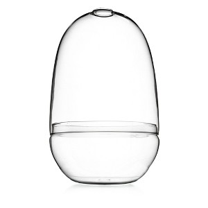 Storied Home Large Egg Shaped Glass Terrarium, Clear - 1 of 4