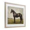 Stupell Industries Espresso Horse Portrait Framed Print Under Glass Art - 2 of 4
