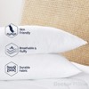 Dr Pillow Luna Pedic Luxe Cloud 2 PACK  Pillow - 3 of 4