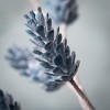 Artificial Blue Pinecone Stem Blue 26"H - 2 of 2