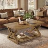 Lantine 2-Tier Coffee Center Table for Living Room, 47.24-Inch Farmhouse Tea Cocktail Table, Easy Assembly - 2 of 4