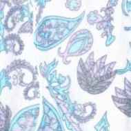 blue/white paisley