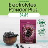 PowderVitamin Electrolytes Powder Plus™ 100 Servings - 2 of 4