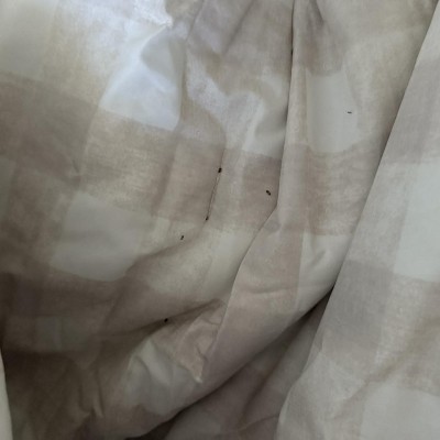 Guest review image 1 of 2, zoom in