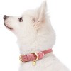 Blueberry Pet The Most Coveted Designer Dog Collar Tinsel Pink / X-Small