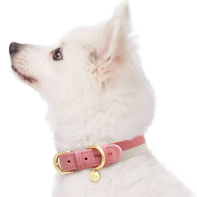 Blueberry Pet Polyester and Leather Dog Collar, 3 of 5