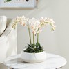 Plum & Post Phalaenopsis Mini Garden Artificial Plant Drop-In - 4 of 4