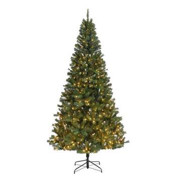Park Hill Collection Park Hill Great Northern Spruce Christmas Tree, 5 ...