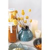 17" x 6" Dried Natural Caspedia Bunch - Storied Home: Indoor Decorative Faux Stems - 3 of 4
