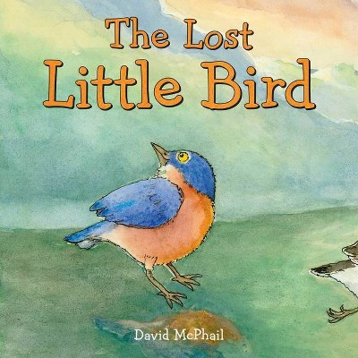 The Lost Little Bird - by  David M McPhail (Hardcover)