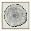 Kate and Laurel Sylvie Tree Rings Linen Framed Canvas by Emiko and Mark Franzen of F2Images - 2 of 4
