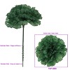 Floral Home 5" Stem Long Emerald Carnation Pick - 100-Piece - 3 of 4