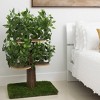 On2Pets Square Cat Tree - Medium - Green - 2 of 4