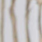 red, white, translucent