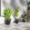Indoor Outdoor Planters Set of 3 MgO Tall Planters Stackable Flower Pots with Drainage Holes for Garden, Balcony - 3 of 4