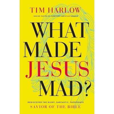 What Made Jesus Mad?* - by  Tim Harlow (Paperback)