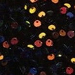 multicolored