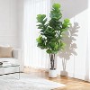 Coucheta 5/6/7ft Artificial Fiddle Leaf Fig Tree with Planter, Realistic Faux Indoor Outdoor Plant for Home Office Living Room Decor - 3 of 4
