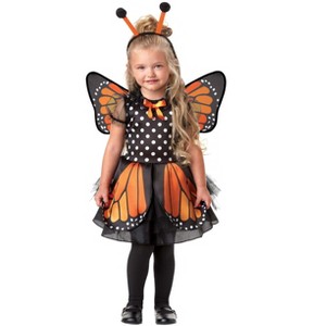 HalloweenCostumes.com Girls Butterfly Toddler Costume - 1 of 3