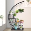Slickblue Semicircle Iron Wood Plant Shelf, 1/2 Pcs 5-Tier Rack, Indoor Outdoor Stand, Black, 27.56x15.75x55.91in - 3 of 4