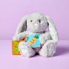 13" Gray Bunny Stuffed Animal - Gigglescape™ - 2 of 3